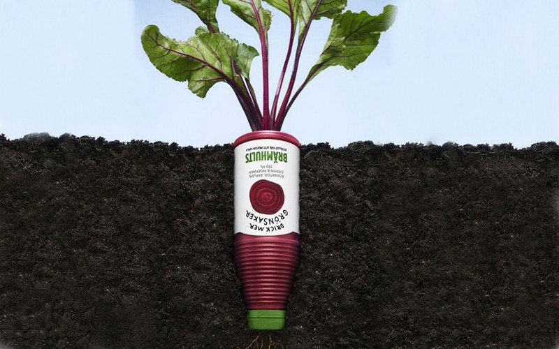 vegetable juice.jpg